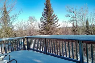 28 Caps Trail, Lutsen, MN 55612 - Photo 44