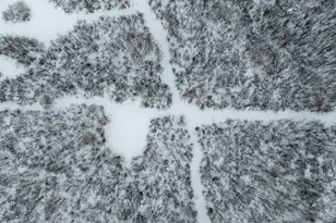 6014 Brown Rd, Kettle River, MN 55757 - Photo 52