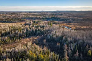 8359 Hwy 135, Embarrass, MN 55732 - Photo 52