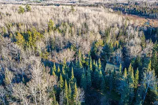 8359 Hwy 135, Embarrass, MN 55732 - Photo 58