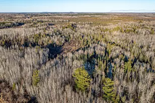 8359 Hwy 135, Embarrass, MN 55732 - Photo 46