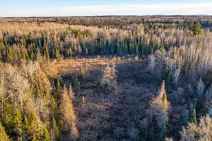 8359 Hwy 135, Embarrass, MN 55732 - Photo 54