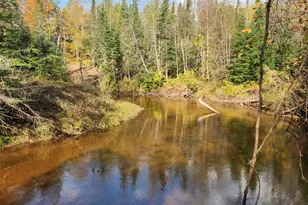 41836 Woodland Ln, Marengo, WI 54855 - Photo 46