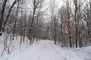 85455 Happy Hollow Rd, Bayfield, WI 54814 - Photo 52