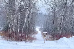 7115 Hwy 1, Finland, MN 55603 - Photo 34