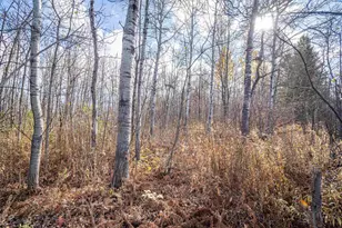 42Xa Stebner Rd, Hermantown, MN 55811 - Photo 6
