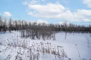 42Xb Stebner Rd, Hermantown, MN 55811 - Photo 16