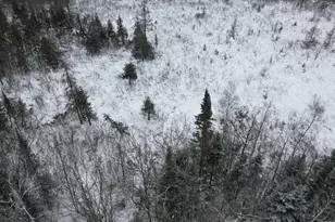 Tbd County Hwy E, Bennett, WI 54873 - Photo 4