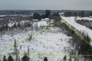 Tbd County Hwy E, Bennett, WI 54873 - Photo 1