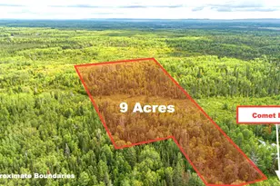 Tbd Comet Rd, Embarrass, MN 55732 - Photo 1