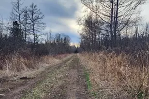 6100 Herranen Rd, Cromwell, MN 55726 - Photo 12