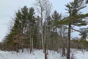 45Xxx Hwy 63, Cable, WI 54821 - Photo 1