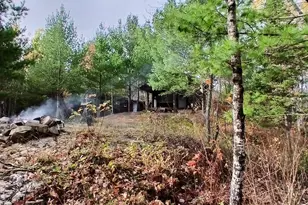 Tbd Echo Trail, Orr, MN 55771 - Photo 36