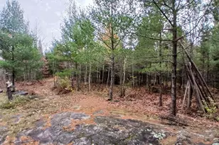 Tbd Echo Trail, Orr, MN 55771 - Photo 32