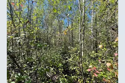 1Xxx Ellis Ave, Ashland, WI 54806 - Photo 6