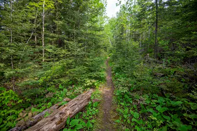 23 Senty Rd, Grand Marais, MN 55604 - Photo 44