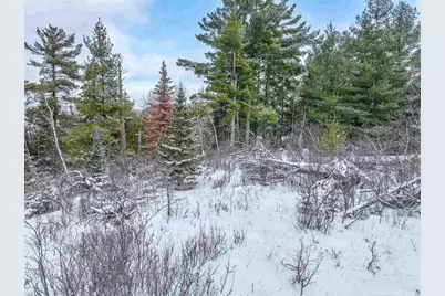Tbd Trezona Dr, Ely, MN 55731 - Photo 16
