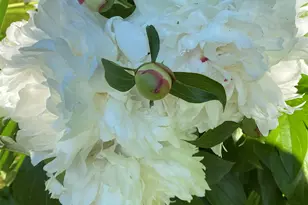 6223 Petre St, Duluth, MN 55807 - Photo 30