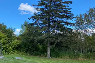 6223 Petre St, Duluth, MN 55807 - Photo 28