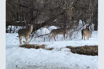 6223 Petre St, Duluth, MN 55807 - Photo 38