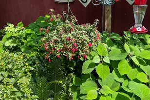 22 Hays Creek, Silver Bay, MN 55614 - Photo 34