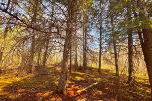 864Xx Lenawee Rd, Herbster, WI 54844 - Photo 8