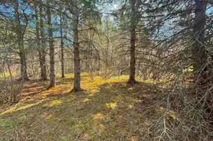 864Xx Lenawee Rd, Herbster, WI 54844 - Photo 10