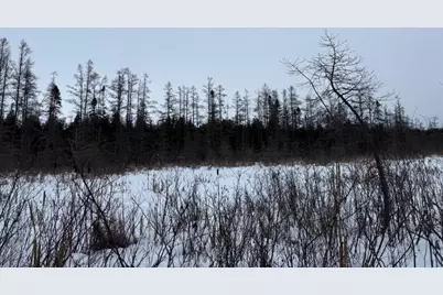 Xx40 Lavaque Rd, Duluth, MN 55802 - Photo 10