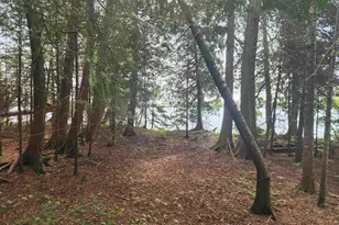 192 W Deeryard Lake Rd, Lutsen Township, MN 55612 - Photo 50