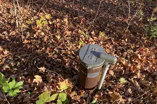 192 W Deeryard Lake Rd, Lutsen Township, MN 55612 - Photo 56