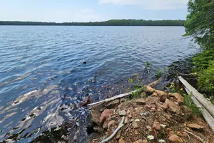 192 W Deeryard Lake Rd, Lutsen Township, MN 55612 - Photo 54