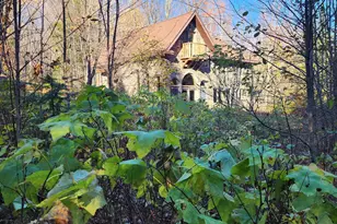 192 W Deeryard Lake Rd, Lutsen Township, MN 55612 - Photo 66