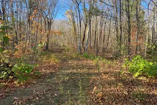 192 W Deeryard Lake Rd, Lutsen Township, MN 55612 - Photo 60