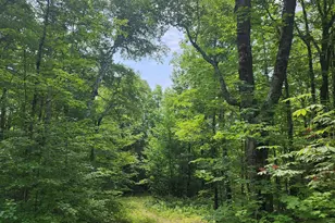 192 W Deeryard Lake Rd, Lutsen, MN 55612 - Photo 74