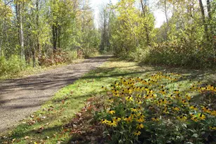 1627 W 5th St, Grand Marais, MN 55604 - Photo 56