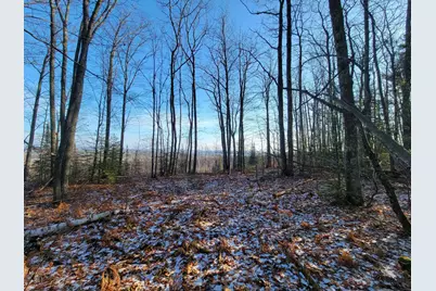 888Xx Turner Rd, Bayfield, WI 54814 - Photo 4