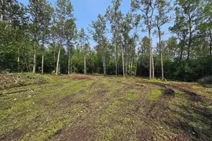 4Xxx Valley Brook Rd, Superior, WI 54880 - Photo 1