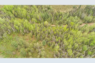 Tbd Victor Lake Rd, Isabella, MN 55607 - Photo 26