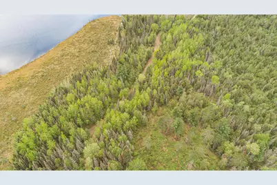 Tbd Victor Lake Rd, Isabella, MN 55607 - Photo 36