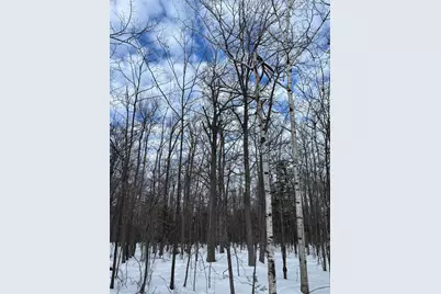 000 Cherryville Rd, Ashland, WI 54806 - Photo 6