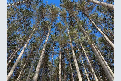 Lot 2 Jenny Ln, Hayward, WI 54843 - Photo 12
