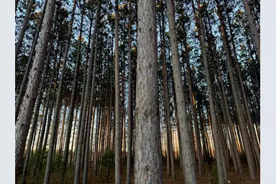 Lot 2 Jenny Ln, Hayward, WI 54843 - Photo 1