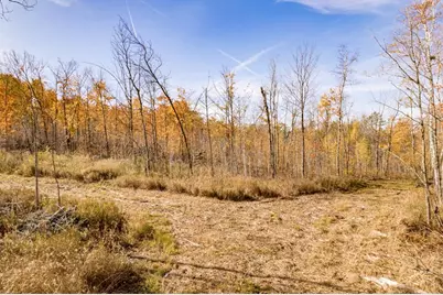 Xxx Amity Drive, Duluth, MN 55803 - Photo 8