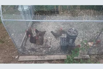 925 14th St, Cloquet, MN 55720 - Photo 46