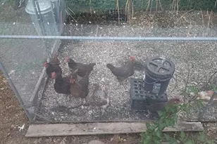 925 14th St, Cloquet, MN 55720 - Photo 46