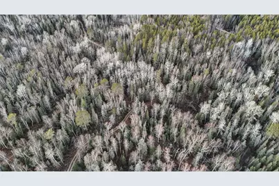 Tbd Arthur Lake, Babbitt, MN 55706 - Photo 6