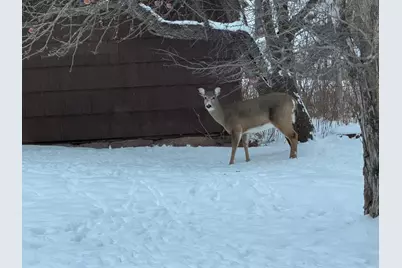 1820 Mary St, Beaver Bay, MN 55616 - Photo 52