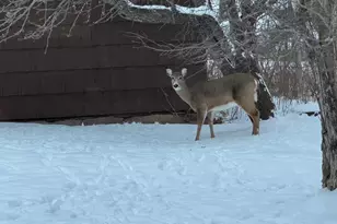 1820 Mary St, Beaver Bay, MN 55616 - Photo 52