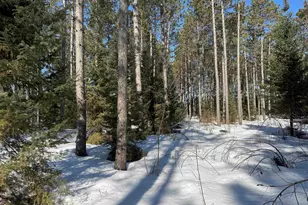 Lot 92 Haakon Ln, Hayward, WI 54843 - Photo 1