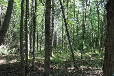 50Xx S Maple Dr, Poplar, WI 54864 - Photo 22